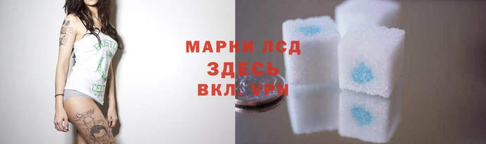 ГАЛЛЮЦИНОГЕННЫЕ ГРИБЫ Баксан